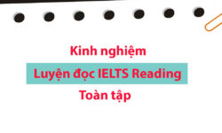 Kinh nghiệm luyện IELTS Reading hiệu quả