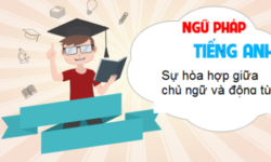 sự hòa hợp giữa chủ ngữ và dộng từ