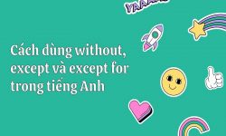 Cách dùng without, except và except for trong tiếng Anh