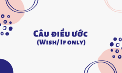 Mệnh đề wish và if only – Cấu trúc cách dùng kèm bài tập có đán án