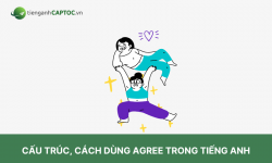 Cấu trúc, cách dùng Agree trong tiếng Anh