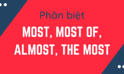 Phân biệt, cách dùng Most, Most of, Almost và The Most trong tiếng Anh