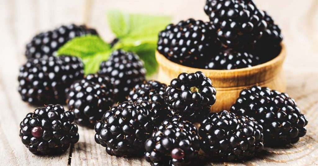 Blackberries /´blækbəri/: mâm xôi đen