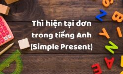 Thì hiện tại đơn trong tiếng Anh - Tổng hợp kiến thức và bài tập