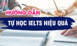 Tips tự học IELTS hiệu quả với 30 phút mỗi ngày