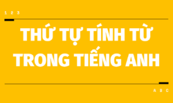 Trật tự tính từ trong tiếng Anh