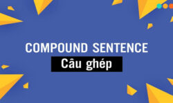 Cách sử dụng câu ghép trong tiếng Anh