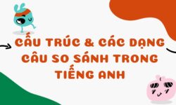 Cấu trúc và các dạng So sánh trong tiếng Anh đầy đủ chi tiết nhất