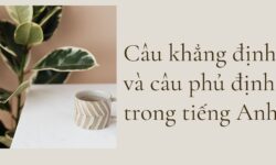 Câu khẳng định và phủ định trong tiếng Anh