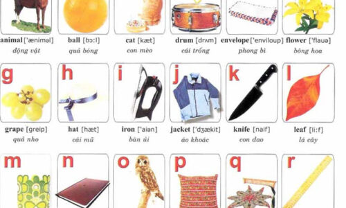 Bảng chữ cái Alphabet tiếng Anh – Việt kèm hình ảnh