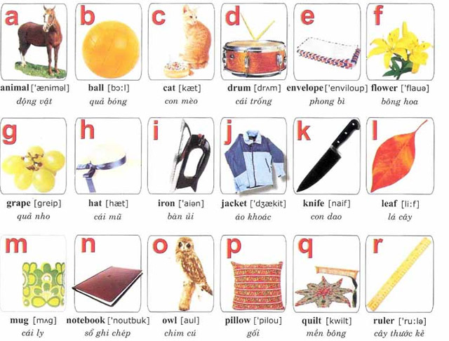 Bảng chữ cái Alphabet tiếng Anh - Việt có kèm hình ảnh