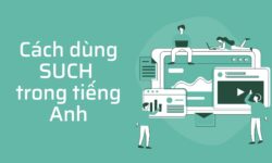 Cách dùng SUCH trong tiếng Anh đầy đủ nhất