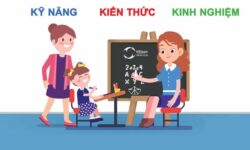 Giải pháp tìm gia sư dạy kèm tại nhà tphcm dễ dàng, uy tín nhất