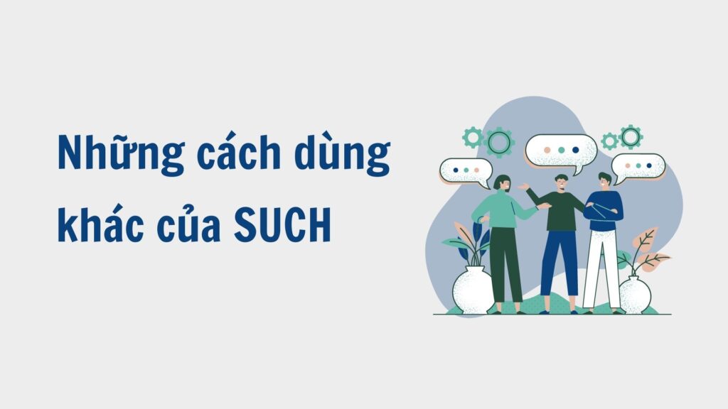 Những cách dùng khác của SUCH