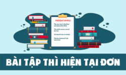 Các dạng bài tập về thì hiện tại đơn thông dụng nhất