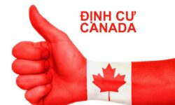 Chương trình du học định cư Canada dành cho du học sinh