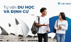 Tổng hợp các trung tâm tư vấn du học New Zealand uy tín tại Tp.HCM