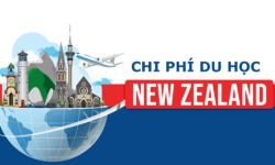 Chi phí du học New Zealand