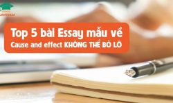Top 5 bài essay mẫu về cause and effect không thể bỏ lỡ