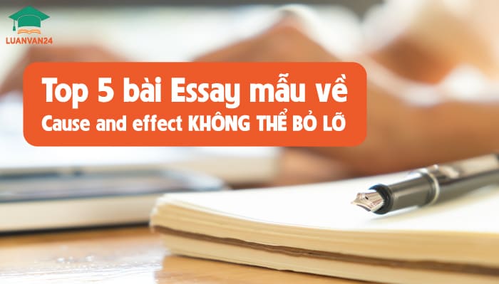 Top 5 bài essay mẫu về cause and effect không thể bỏ lỡ