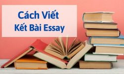 Cách viết kết bài Essay với 7 cấu trúc diệt gọn mọi dạng Essay