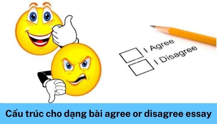 Cấu trúc cho dạng bài agree or disagree essay