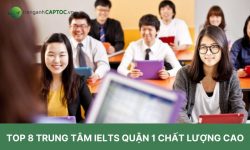 Top 8 Trung Tâm IELTS Quận 1 Chất Lượng Cao 