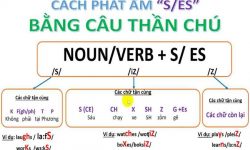 Quy tắc thêm s, es và cách phát âm đuôi s, es trong tiếng Anh