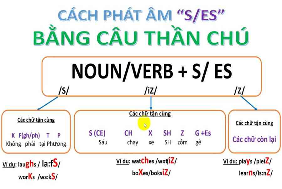 Quy tắc thêm s, es và cách phát âm đuôi s, es trong tiếng Anh