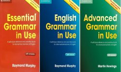 Giới thiệu chuẩn nhất bộ sách Essential Grammar In Use [ PDF + Audio ]