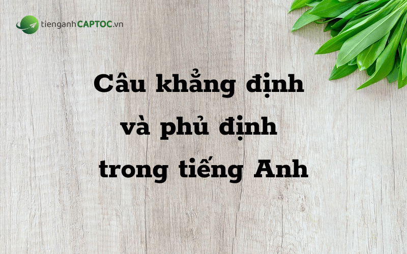 Câu Khẳng định và Phủ định trong tiếng Anh