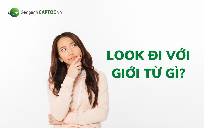 Look đi với giới từ gì?