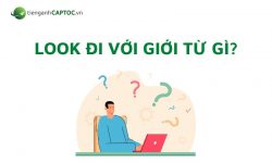 Look đi với giới từ gì? Tất tần tật kiến thức về Look trong tiếng Anh