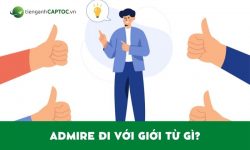 Admire đi với giới từ gì? Kiến thức chi tiết về Admire 