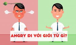 Angry đi với giới từ gì? Cách dùng Angry chính xác nhất