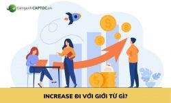 Increase đi với giới từ gì? thumb