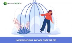 Independent đi với giới từ gì? Thumb