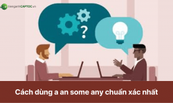 Cách dùng a an some any chuẩn xác nhất