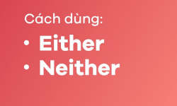 Cách dùng either neither - Cấu trúc và bài tập vận dụng