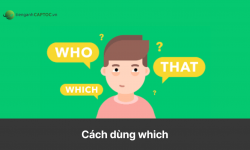 Cách dùng which - Phân biệt cách dùng where, which và that