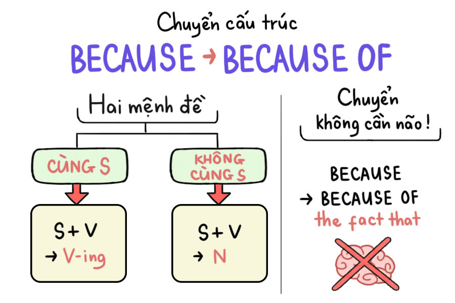 Cấu trúc ngữ pháp của because và because of