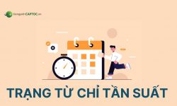 Trạng từ chỉ tần suất (Frequency) trong tiếng Anh