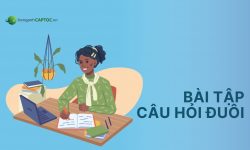 60+ bài tập câu mạo từ