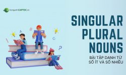 8 bài tập danh từ số ít và số nhiều – “Test trình” bạn ngay