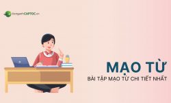 Tổng hợp 5 dạng bài tập mạo từ giúp bạn dễ dàng nắm bắt