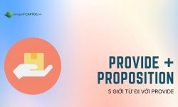 Provide đi với giới từ gì