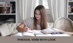 Tổng hợp phrasal verb with look hay mà bạn cần nhớ