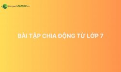 Tổng hợp lý thuyết + bài tập chia động từ lớp 7 có đáp án