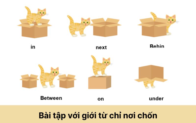 Bài tập giới từ chỉ vị trí thời gian nơi chốn trong tiếng Anh