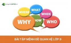 Bài tập mệnh đề quan hệ lớp 9 có đáp án đầy đủ nhất